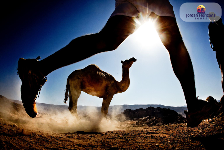 Pacchetto di 6 giorni per la maratona di Petra e Giordania